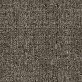 Picture of Southwind - Metro Coastal