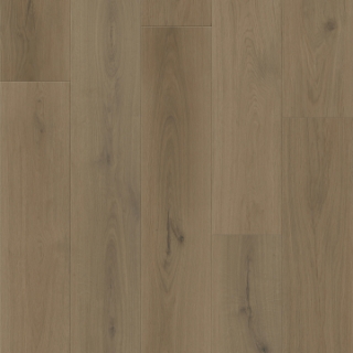 Picture of Southwind - Boundless SPC Forest