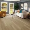 Picture of Southwind - Woodwind Pressed Echo Oak