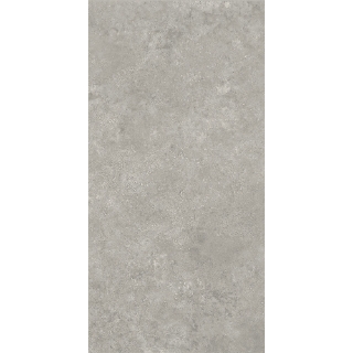 Picture of Caesar Ceramic - Pathway 12 x 24 Wind