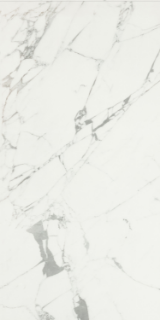 Picture of Caesar Ceramic - Anima 24 x 48 Statuario Venato