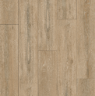 Picture of Ribadao - Caravel Santa Maria