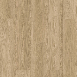 Picture of Ribadao - Caravel Calicut