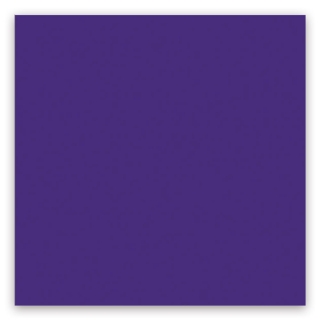 Picture of American Olean - Color Story 4 x 16 Glossy Devotion