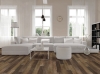 Picture of US Floors - CORETec Originals Premium 9 Pride Oak