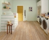 Picture of US Floors - COREtec Pro Premium 7 Brookfield Maple